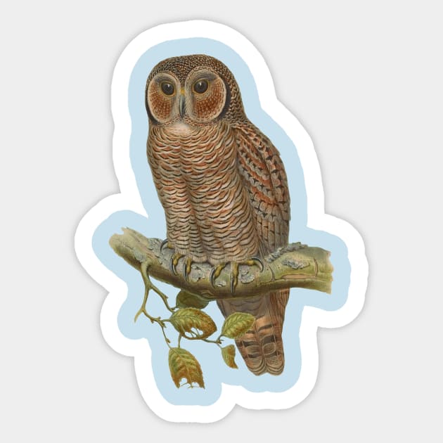 Lonely Owl Realistic Drawing Sticker by PatrioTEEism